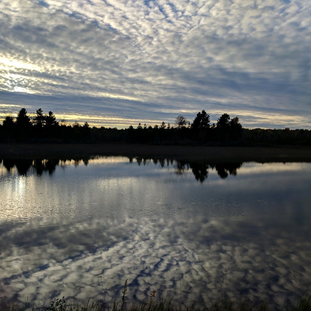 Meet your Posher, Katarina